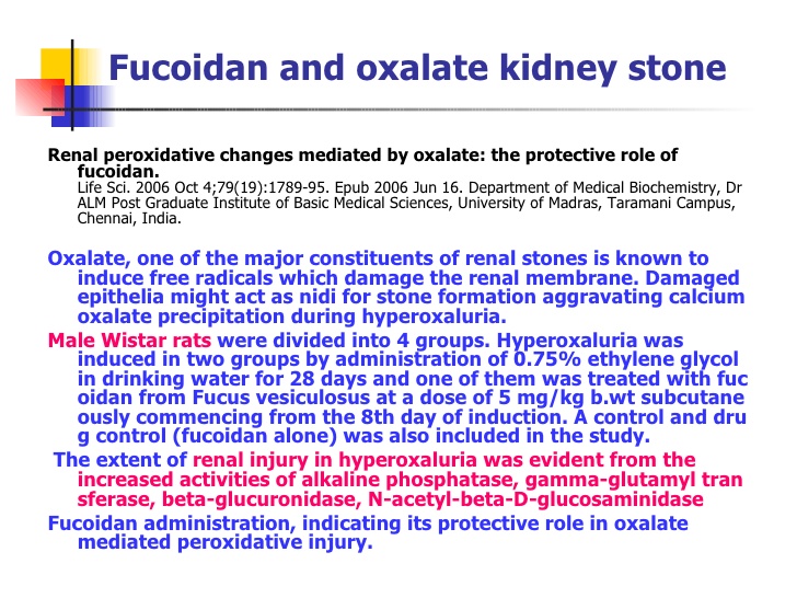 agel-umi-fucoidan-oxalate-kidney-stone