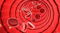 blood_flow_tube